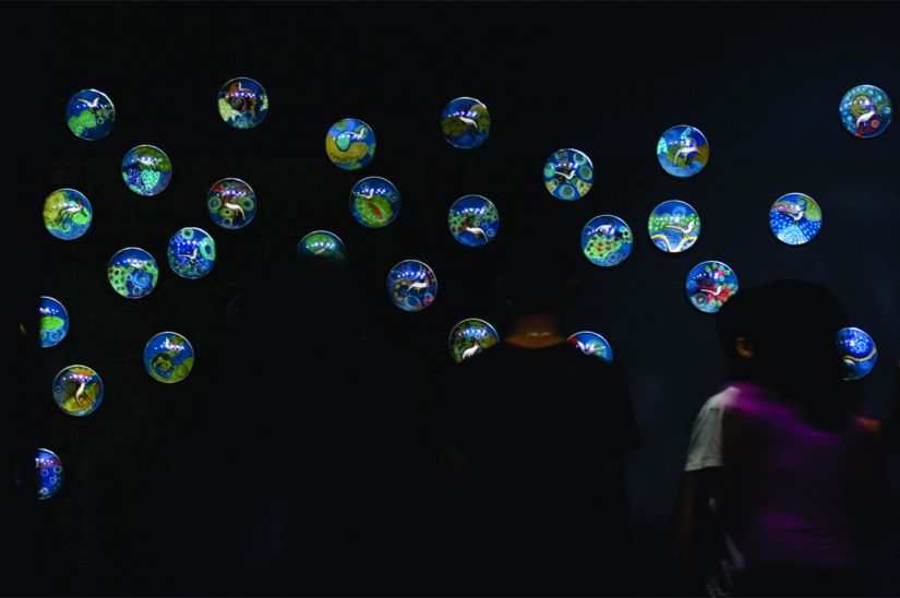 Série Efêmeros | Sonhos Encapsulados  (2012) | Ddaniela Aguilar