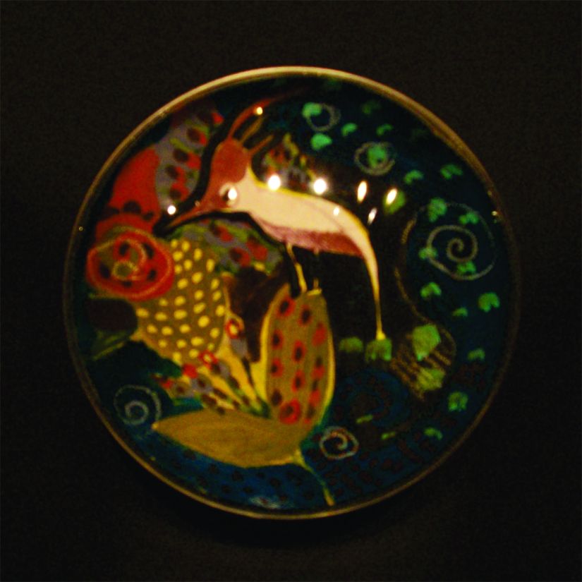 Série Efêmeros | Sonhos Encapsulados - | Ddaniela Aguilar (2012)