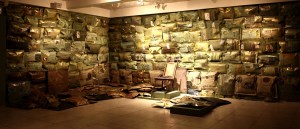 Sonhos Mutantes – série Travesseiros – Círculo de meninas - Ddaniela Aguilar