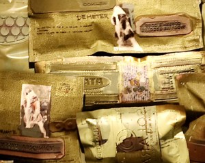 Sonhos Mutantes – série Travesseiros – Círculo de meninas - Ddaniela Aguilar