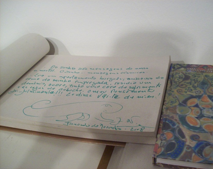 Sonhos Mutantes | Intervenção e instalação – 2010 “Refrações” – Coletiva na Pinacoteca UFAL | Ddaniela Aguilar