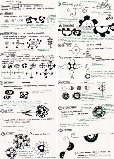 Trilha dos sonhos – Dicionário – Cápsula de Símbolos Oníricos | Ddaniela Aguilar