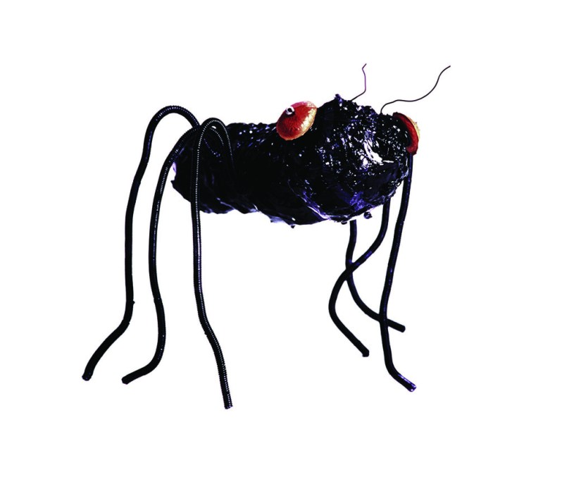 Formigas Mutantes ( 2003) - Reutilização plásticos pós-consumo | Ddaniela Aguilar | Fotos Manoel Leite