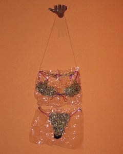 Da série CARDÁPIO (1997) - plásticos pós-consumo | Ddaniela Aguilar