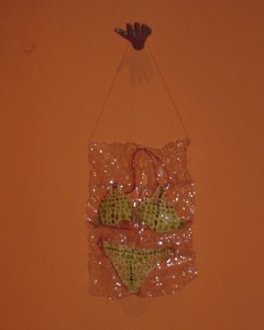 Da série CARDÁPIO (1997) - Látex, vidro e Pet pós-consumo | Ddaniela Aguilar