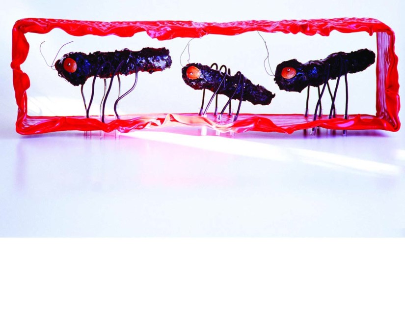 Formigas Mutantes ( 2003) - Reutilização plásticos pós-consumo | Ddaniela Aguilar | Fotos Manoel Leite