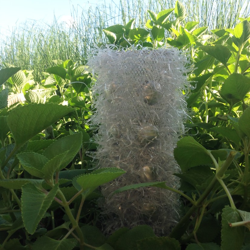 Para Cápsula Temporária - Upcycling  | Obra  Vaso Porco-Espinho ( 2003)