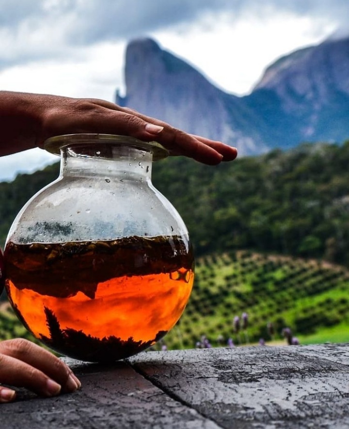 Ddaniela Aguilar - Khas Café -22 Conceito Atelier Lab